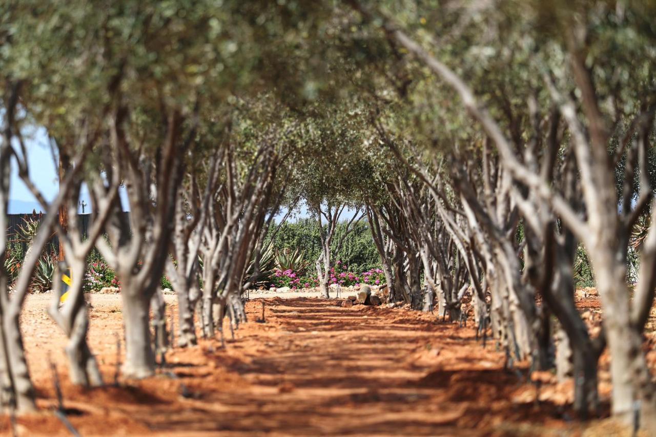 אאודטסהורן Berluda Farmhouse And Cottages מראה חיצוני תמונה