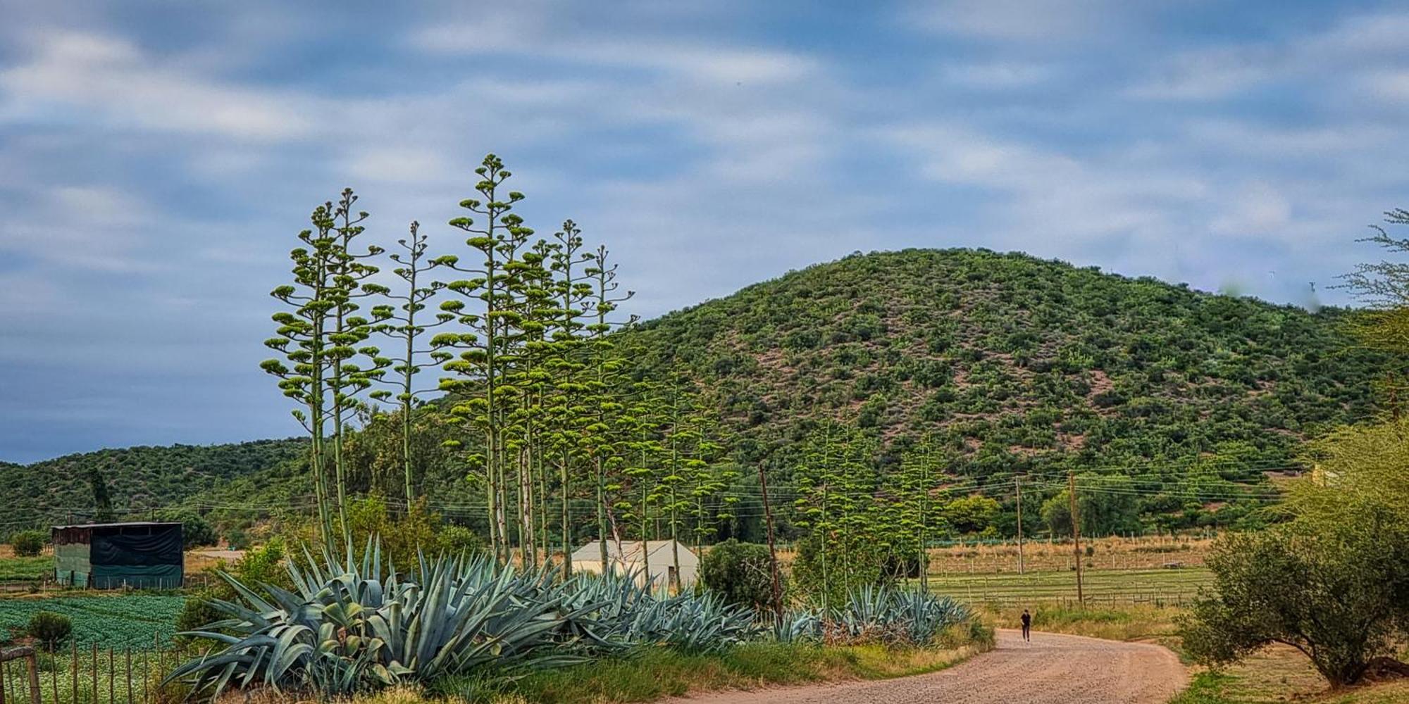 אאודטסהורן Berluda Farmhouse And Cottages מראה חיצוני תמונה